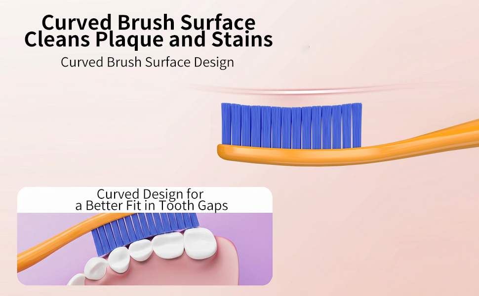 toothbrushes medium