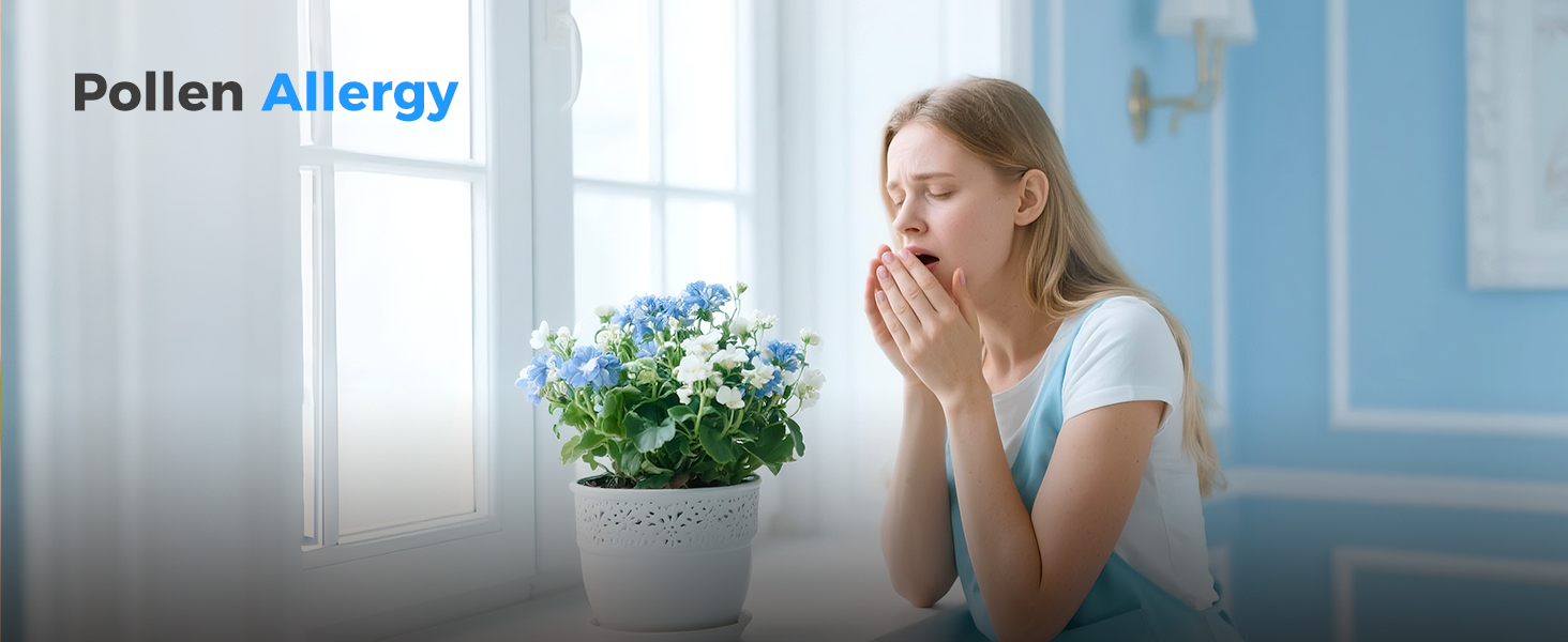 Air Purifiers for pollen