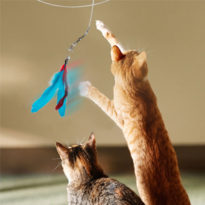 cat wand toys 1