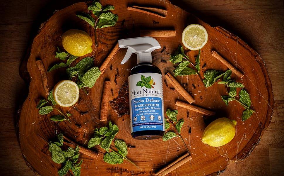 Powerfull and Natural Spider Repellent Spray - Safe for indoor and outdoor Made in USA