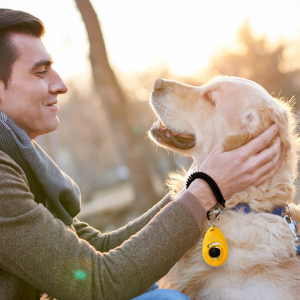 Puppy Training Supplies for Dogs