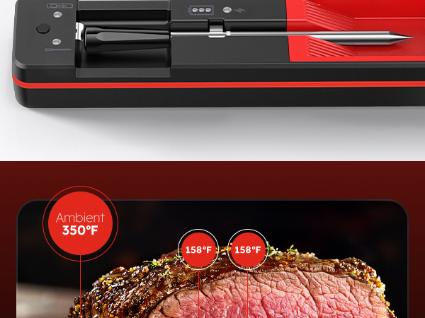 meat thermometer