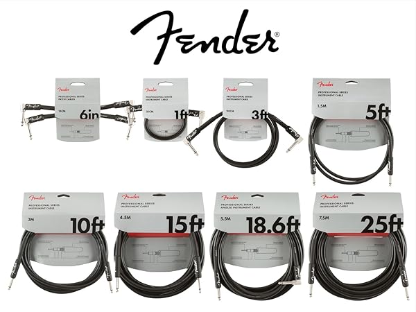 Fender Professional Series