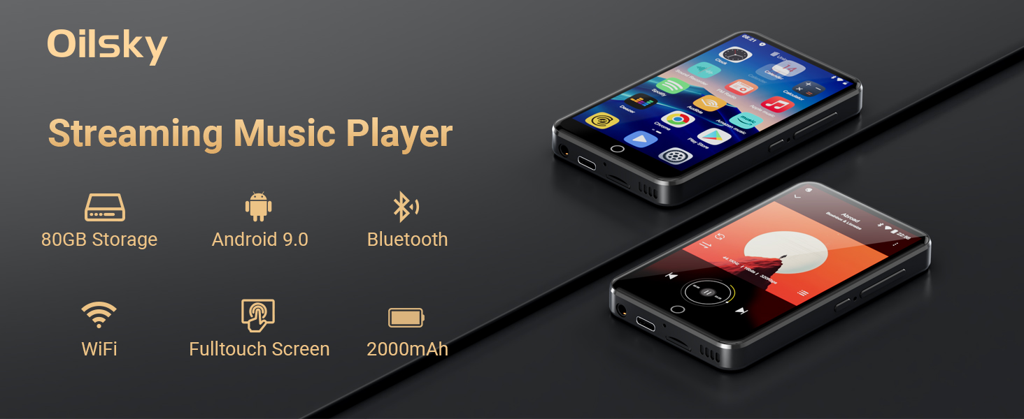 MP3 Player with Bluetooth and WiFi
