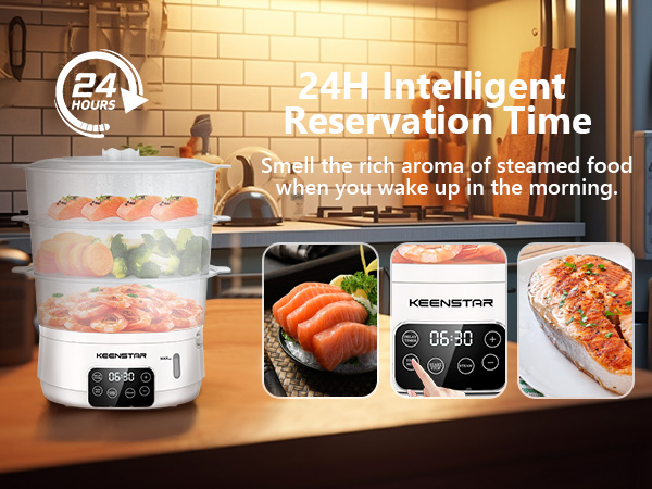 eletric food steamer