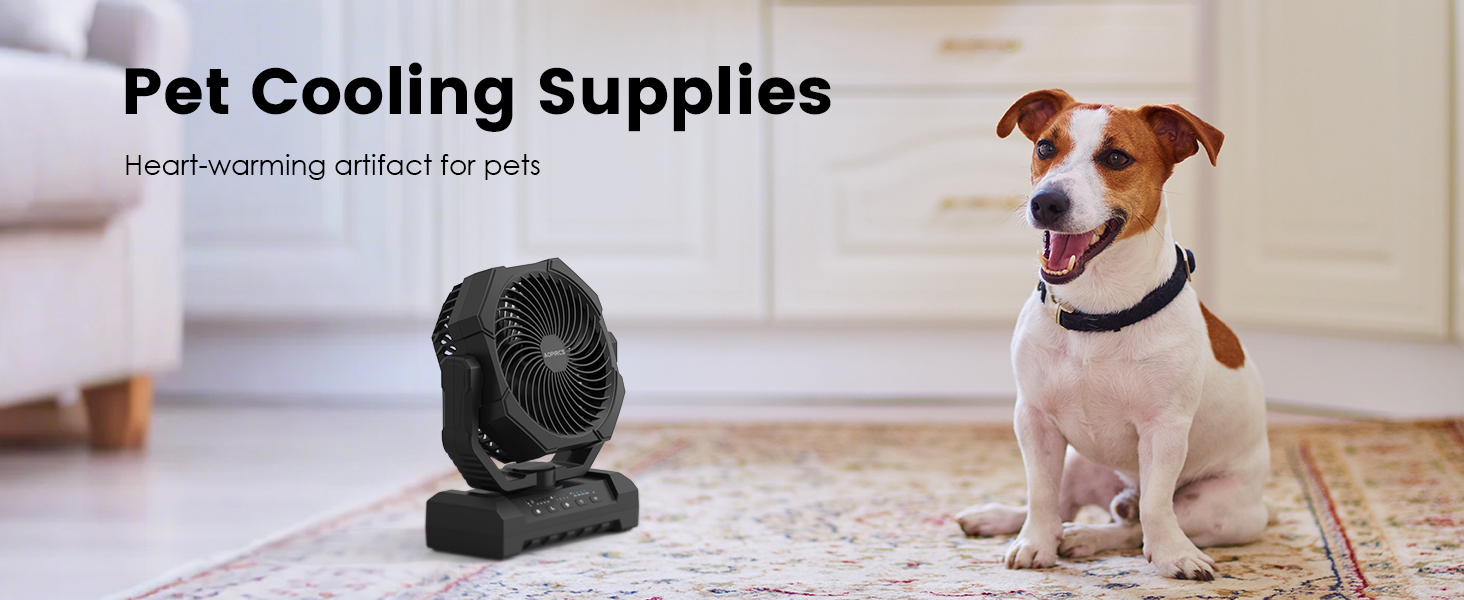 Camping Fan
