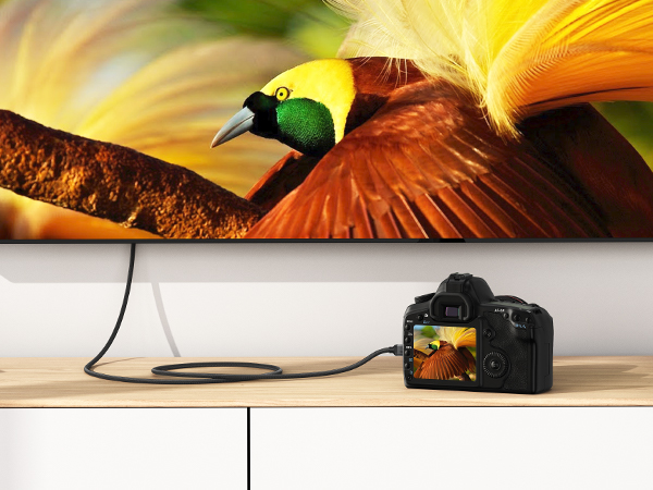 cameras micro hdmi to hdmi cable