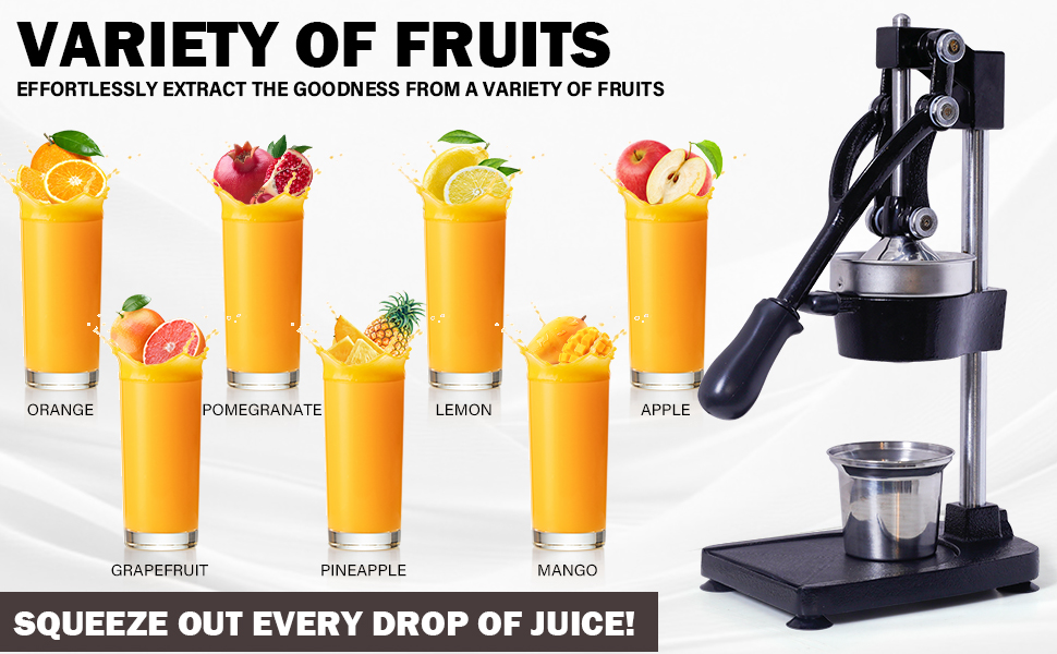 manual juicer