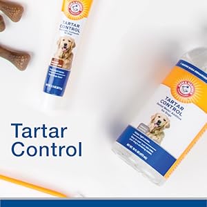 dog toothpaste dog toothbrush dog tooth brushing kit dog products teeth dog breath freshener