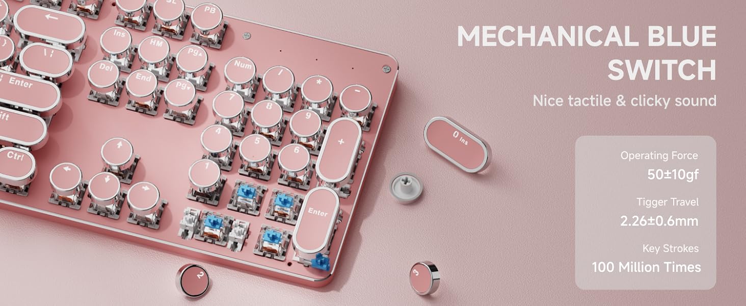 Mechanical Blue Switch