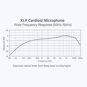 XLR Microfono