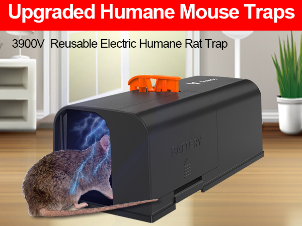 RAT TRAPS 25252
