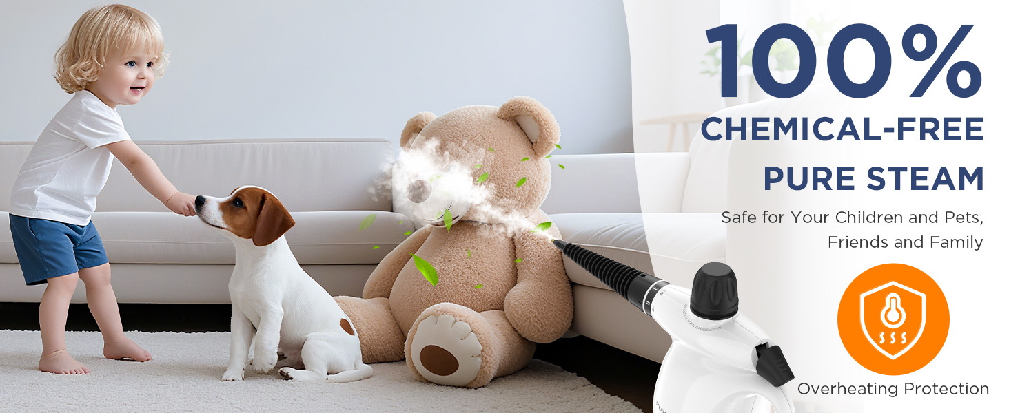 steam cleaner labigo