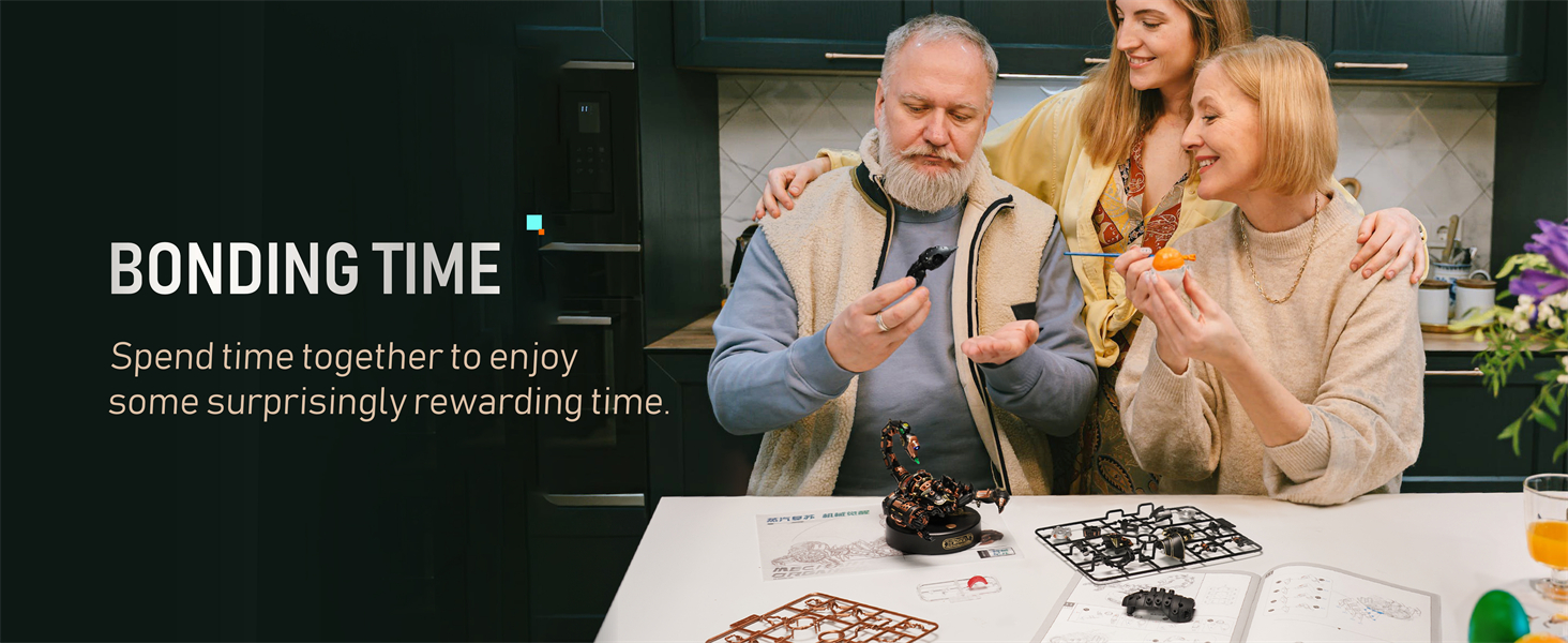 ROKR Assembly DIY Gift Plastic Craft Hobby for Men, Women