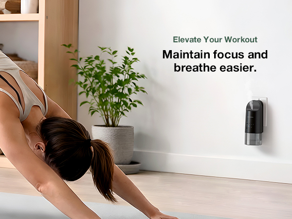 Elavate Your Workout