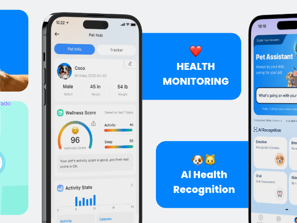 HEALTH MONITORING &amp; Al Health Recognition