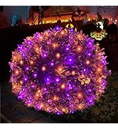 HISHINY Halloween Lights Outdoor,100LED 5ftx5ft Net Lights with Connectable, Waterproof,UL Certif...