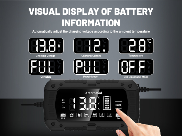 lithium ion battery charger 12v