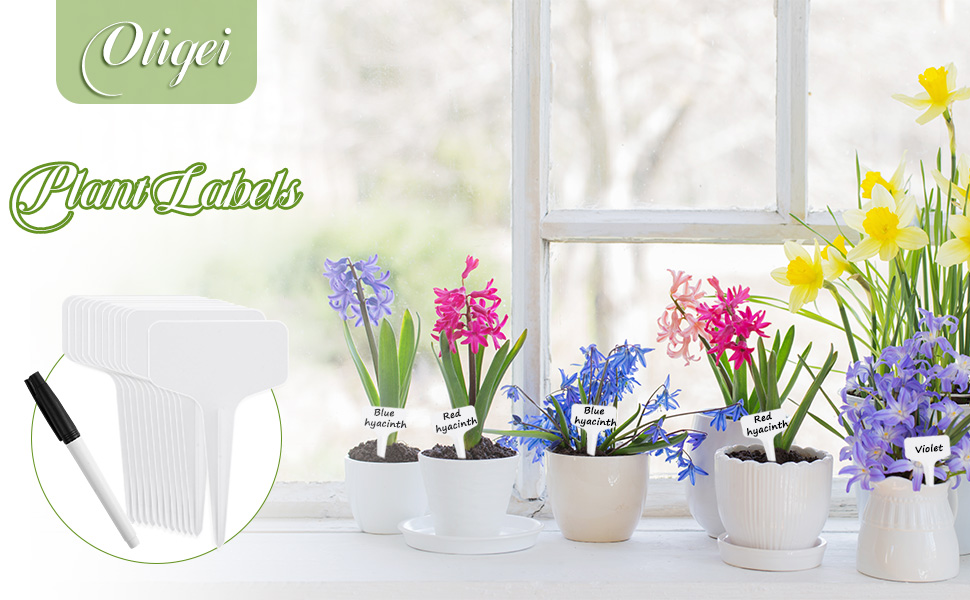 Oligei Plant Labels 120 PCS