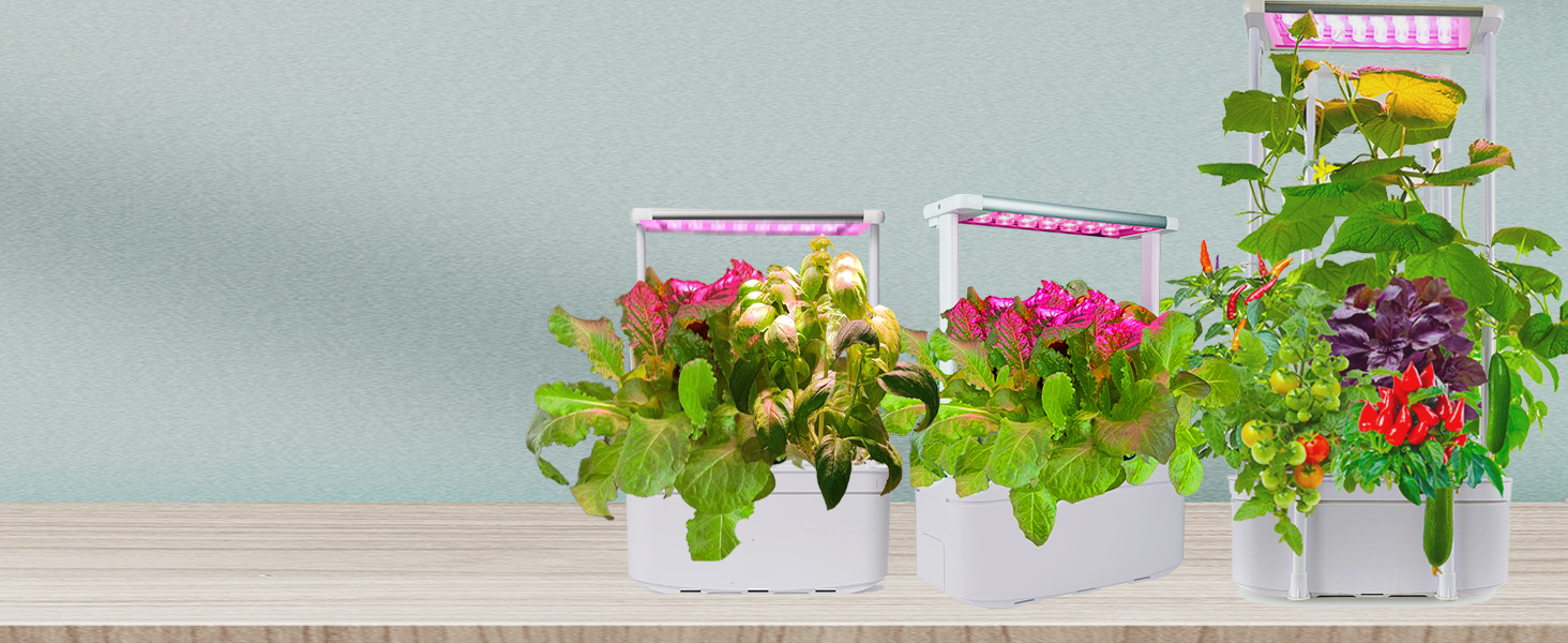 hydroponics growing system