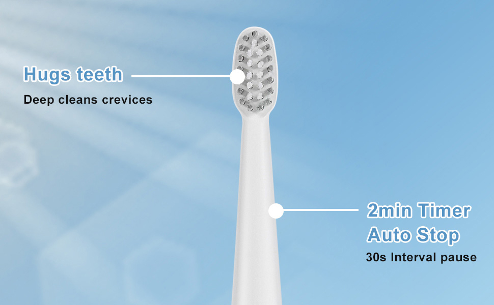 Sonic Electric Toothbrush 