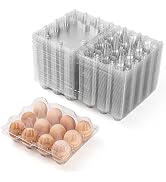 AYAYGD 40 Pack Plastic Egg Cartons Cheap Bulk,1 Dozen Clear Empty Egg Cartons for Chicken Eggs 3x...