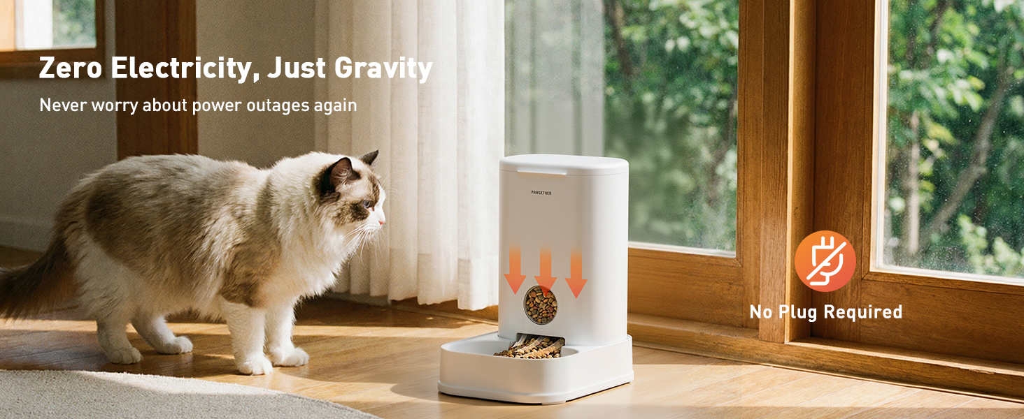 cat feeder automatic