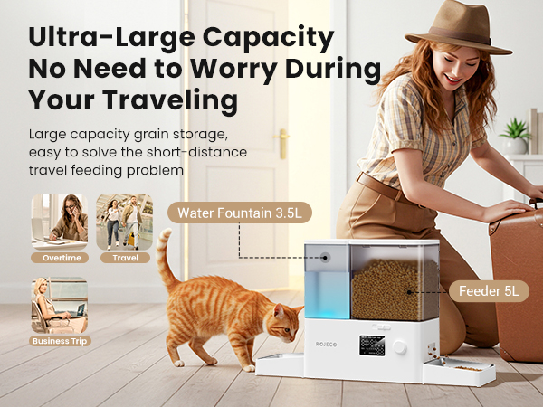 Automatic Cat Feeder and Water Dispenser