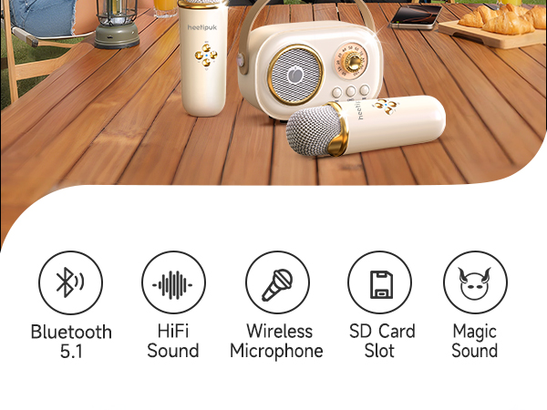 Karaoke Machine for Kids Adults