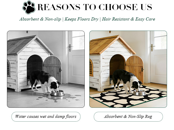 Dog rugs