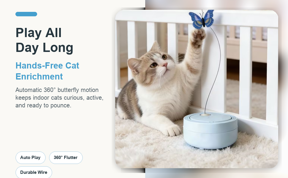 Hand-Free Cat Enrichment