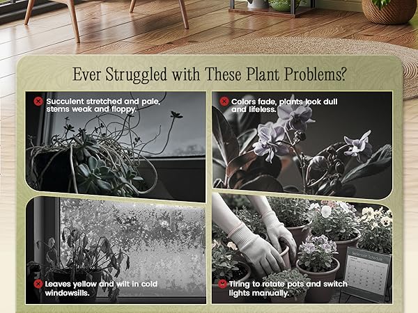 PLANT RACK