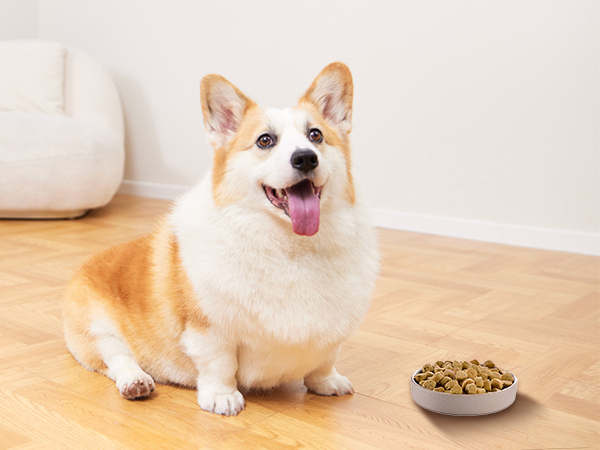 professional kitchen scale