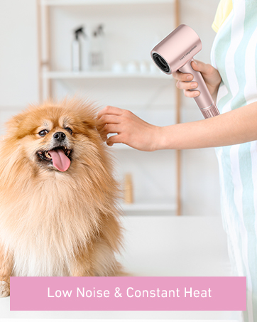 hair dryer blow dryer