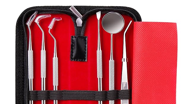 G.CATACC dental kit for teeth care with dental mirror, dental plaque remover tool, storage case