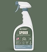 spider killer indoor house spiders