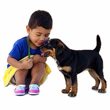 pets friendly
