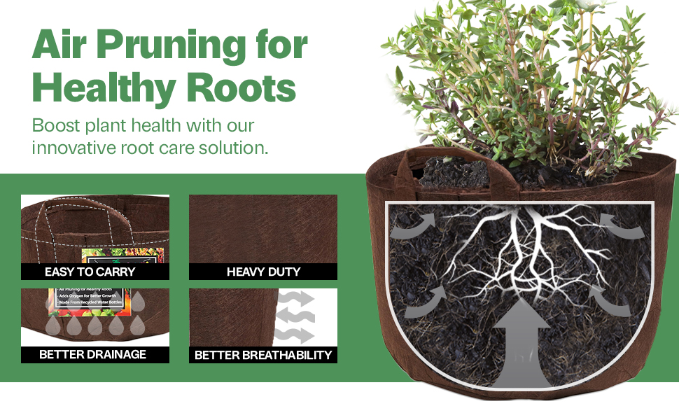 tomatoes containers outdoors grass roots rain mesh fiber variety size air tomato airpots pepper