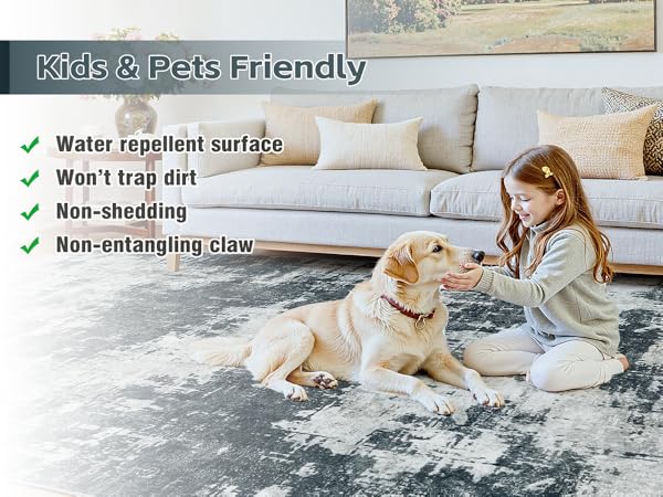 area rugs for living room