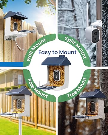 birdfeeder with camera