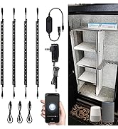 TORCHSTAR Voice Control Smart LED Safe Lighting Kit, (4) 12 Inch Dimmable Linkable Light Bars, Co...