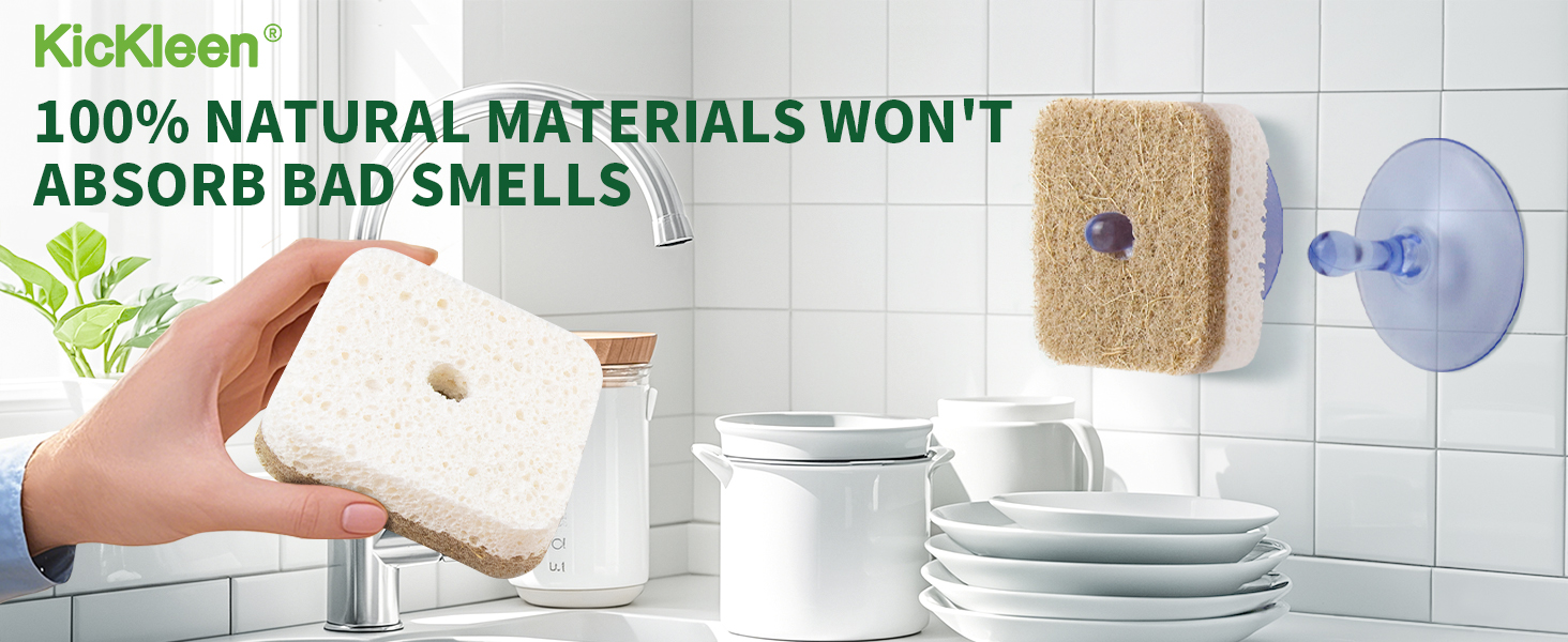 kitchen cleaning sponges