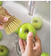 Lola Products Vegetable Wood Knob Brush Sustainable Tampico Bristles Renewable Birch Hardwood Handle