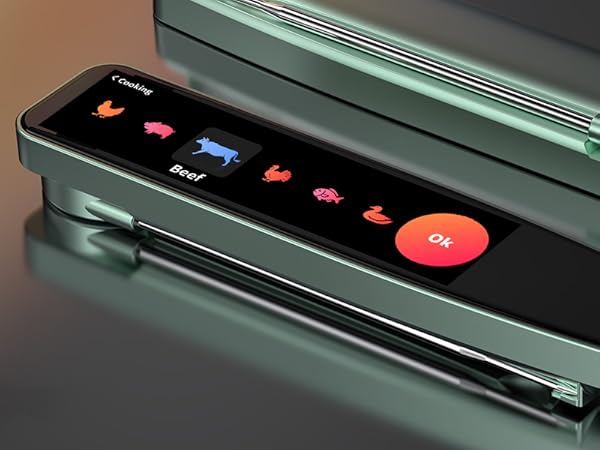 Smart Meat Thermometer