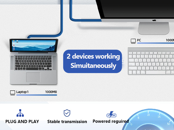 ethernet Splitter 1 to 2