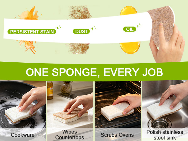 dish sponge