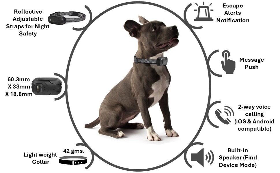 Infographic showing dog collar features: Reflective strips, 45.5mm width, light weight design, built-in speaker. Icons indicate night safety features, notification alerts, and message functions.