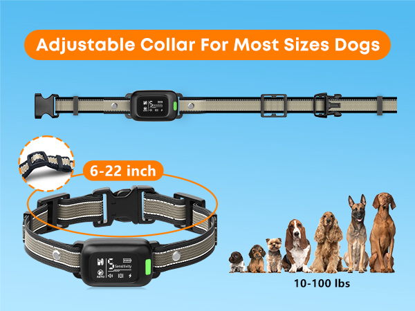 no bark collars for dogs