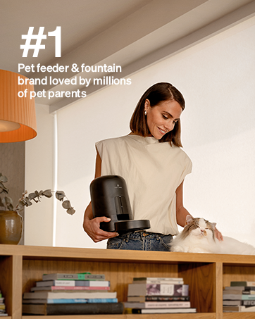 automatic cat feeder