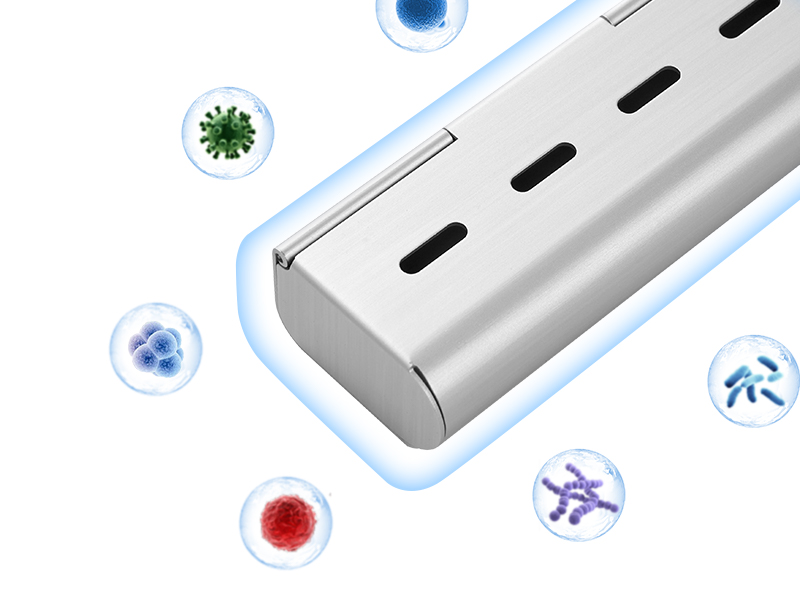 toothbrush travel case
